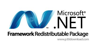 net runtime|net framework runtime.